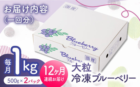 【12回定期便】大粒 冷凍ブルーベリー 約1000g（約500g×2pc）【すみれファーム】果物 フルーツ くだもの 大粒 小分け 熊本県産ブルーベリー [ZEP012]
