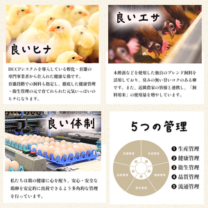 【 隔週１２回定期便 】 卵 赤たまご 960個 ： 80個×12回 たまご 【配送不可地域：北海道、沖縄、離島】