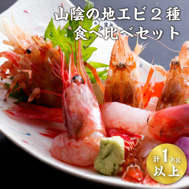 【ふるさと納税】 【レビューキャンペーン】山陰 地エビ 2種 食べ比べ セット 計 1kg 以上 （ 甘エビ ガラエビ ） 【 ガラエビ ドロエビ 甘エビ エビ 海鮮 海の幸 海産物 兵庫 兵庫県産 漁港 産地直送 刺身 小分け 500g 2袋 冷凍 えび 流水解凍 】