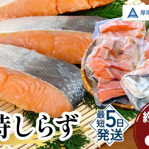 厚岸産 甘塩 時鮭 切り身 1.7kg 切身 ときしらず