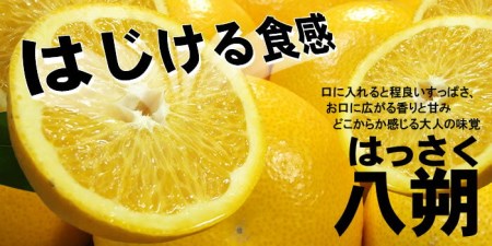 八朔(はっさく)約10kg サイズおまかせ　紀伊国屋文左衛門本舗※2024年1月下旬～4月上旬頃発送予定【sutb411】