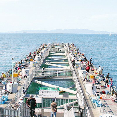【ふるさと納税】岬町海釣り公園・とっとパーク小島利用券【大人用3枚セット】【1267399】
