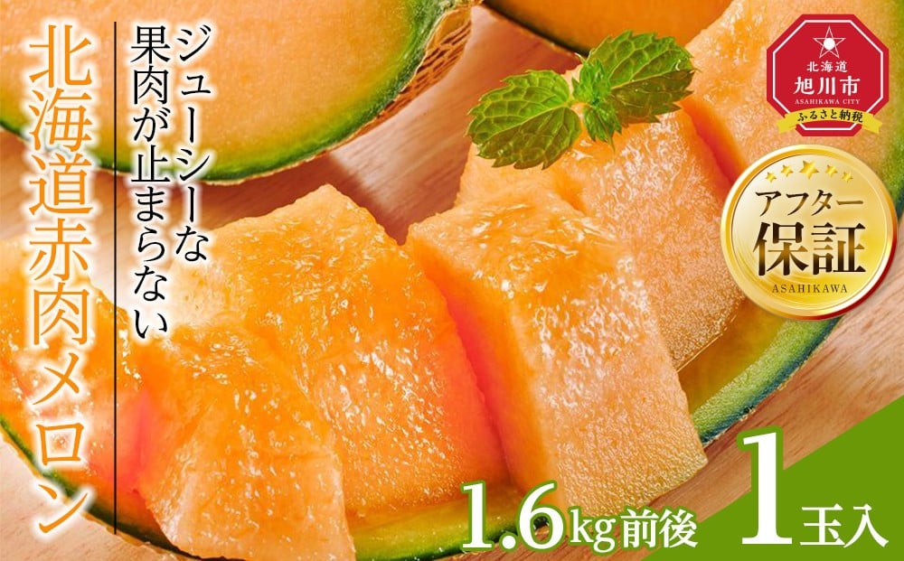 
            【26年発送先行予約】北海道産赤肉メロン　1玉入り　1.6kg前後（2026年7月中旬から発送開始予定） 【 果物 くだもの フルーツ メロン 赤肉 赤肉メロン 旬 お取り寄せ 甘い 北海道産 旭川市 北海道 】_04752
          