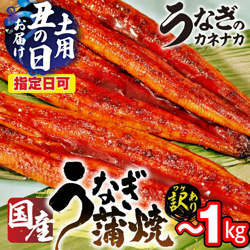 【ふるさと納税】訳あり 国産 うなぎ ~10尾 ~1キロ 蒲焼 うなぎ 愛知県 三河 宮崎 静岡 産地 おまかせ 尾数 不揃い 傷 2尾 3尾 4尾 5尾 6尾 8尾 10尾 長蒲焼 冷凍 丑の日 鰻 unagi わけあり 規格外 土用の丑の日 送料無料 豊橋市 豊橋うなぎ