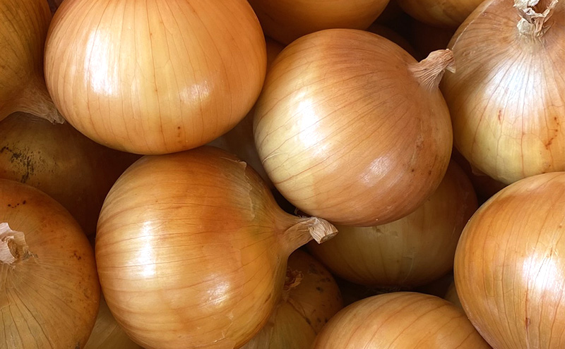 淡路島産 玉ねぎ 5kg たまねぎ タマネギ 甘い 農家直送 兵庫県 洲本市 淡路島