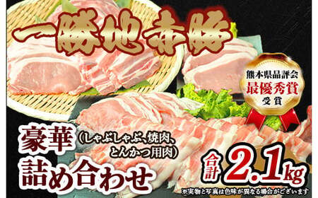 熊本県 球磨村 農林水産大臣賞受賞 一勝地赤豚 詰め合わせ 2.1kg FKP9-139