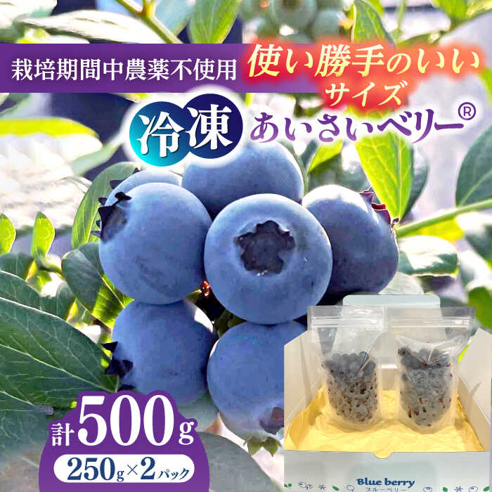 【ふるさと納税】＼毎年8月より順次発送／あいさいベリー（ブルーベリー冷凍果実）250g×2パック 産地直送 腸活 美肌 冷凍ブルーベリー 愛西市/あいさいベリーLABO [AEBZ005]