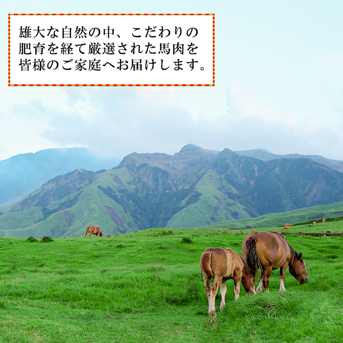 【馬刺しナンバーワン】熊本名物 熊本肥育 新鮮 阿蘇 熊本 馬刺し 赤身 100g 50g小分け 褐毛和種 赤牛 あか牛 和牛 ロース スライス サシ 牛肉 200g 計300g 食べ比べ 真空パック