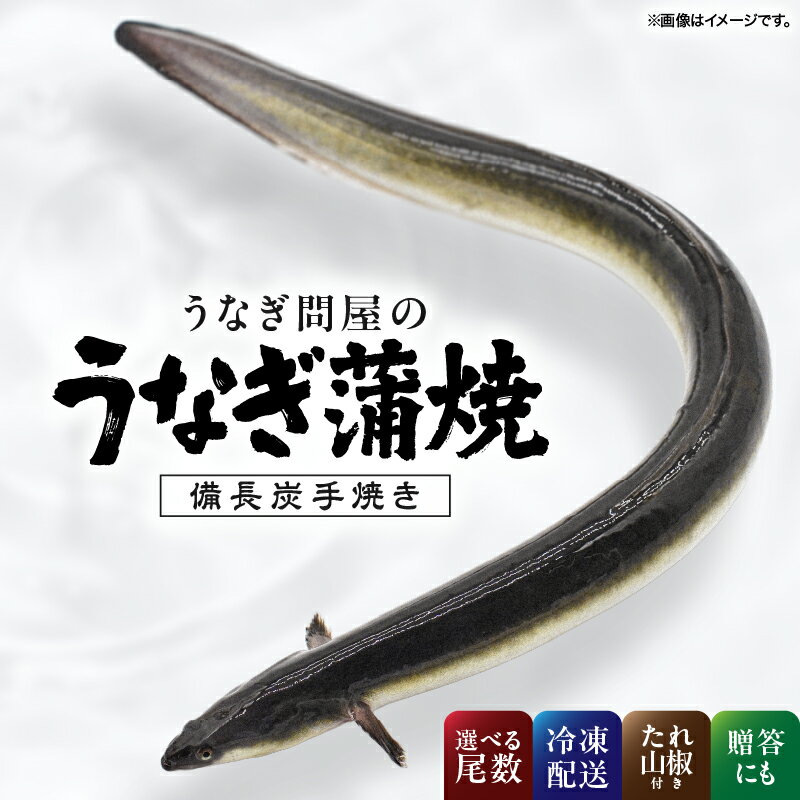 【ふるさと納税】＜選べる＞うなぎ問屋の備長炭手焼 うなぎ蒲焼 2尾～5尾 計300g～600g うなぎ ウナギ 鰻 蒲焼 惣菜 総菜 魚類 魚貝類 魚介類 海産物 鰻重 うな重 ひつまぶし 鰻丼 土用の丑 魚 冷凍 大隅うなぎ販売 鹿児島 鹿屋市 おすすめ ランキング プレゼント ギフト