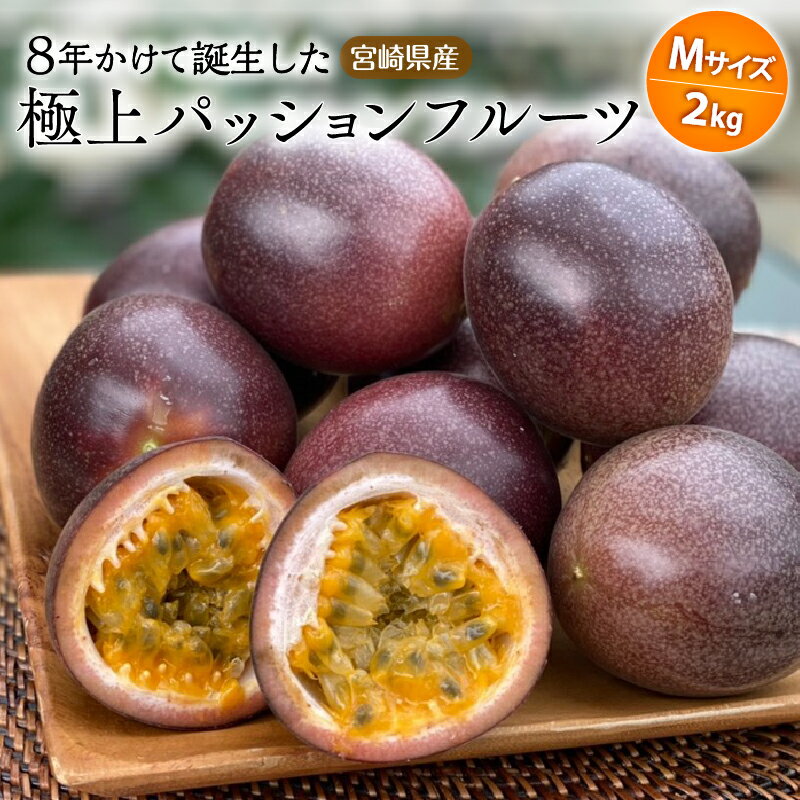 【ふるさと納税】《2026年発送 先行予約》【数量・期間限定】8年かけて誕生した宮崎県産極上パッションフルーツM 2kg 果物 フルーツ 果実 果汁 樹上完熟 ルビースター サマークイーン 炭酸水 焼酎 ドリンク フルーツ ギフト お土産 おすそ分け 南国フルーツ 宮崎市 送料無料