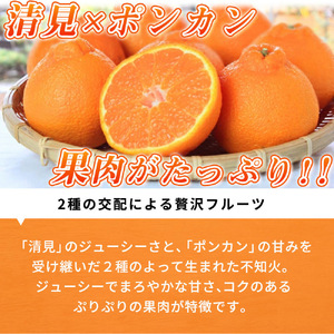 紀州有田産不知火(しらぬひ) 2.5kg※2025年2月中旬頃～2025年3月中旬頃に順次発送予定（お届け日指定不可）【uot794】