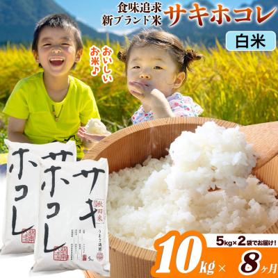 ふるさと納税 大仙市 米《8ヶ月》サキホコレ【白米】令和7年産 10kg|22_ssn-051008h