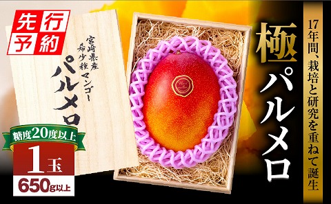 【先行予約】《2025年発送》期間・数量限定 宮崎県産 希少種マンゴー (極)パルメロ 650g以上 糖度20度以上 1玉入り