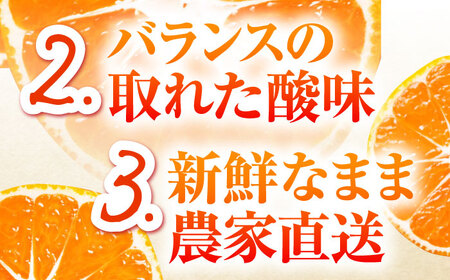 【2026年10月下旬-発送】温州みかん 5kg 南島原市 [SCQ001] みかん
