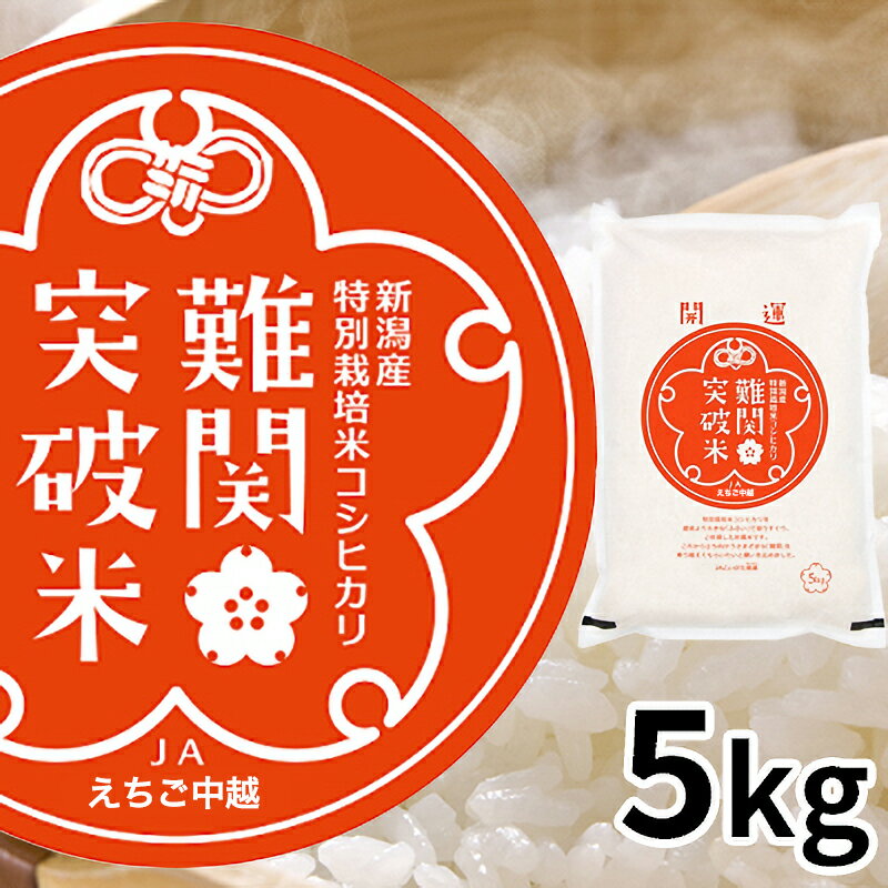 【ふるさと納税】令和7年産 難関突破米 5kg お米 コシヒカリ　お届け：2026年7月末まで