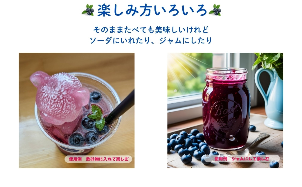 採れたて ブルーベリー 500g (100g×5パック) / 800g (100g×8パック【121237-002】