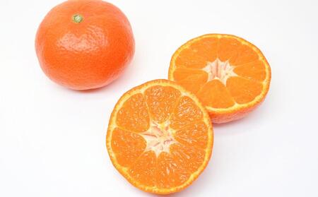 坂出市産 金時紅みかん 約2.5kg(21~30玉入り) 化粧箱入り
