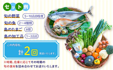【全2回定期便】壱岐産食材詰め合わせBOX「野菜と魚」《壱岐市》【壱岐イルカパーク＆リゾート】塩 醤油 卵 魚介類 海鮮[JBF037]
