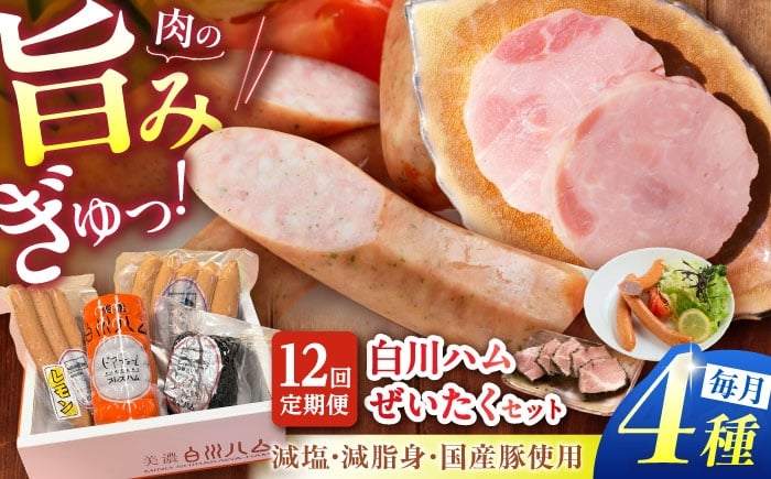 
            【12回定期便】 美濃白川ハム 4種セット （ プレスハム ・ パストラミハム ・ ウインナー ・ レモンウインナー ） ハム プレスハム パストラミ ウインナー 詰め合わせ 白川町 / 白川町農業開発 [AWAH023]
          