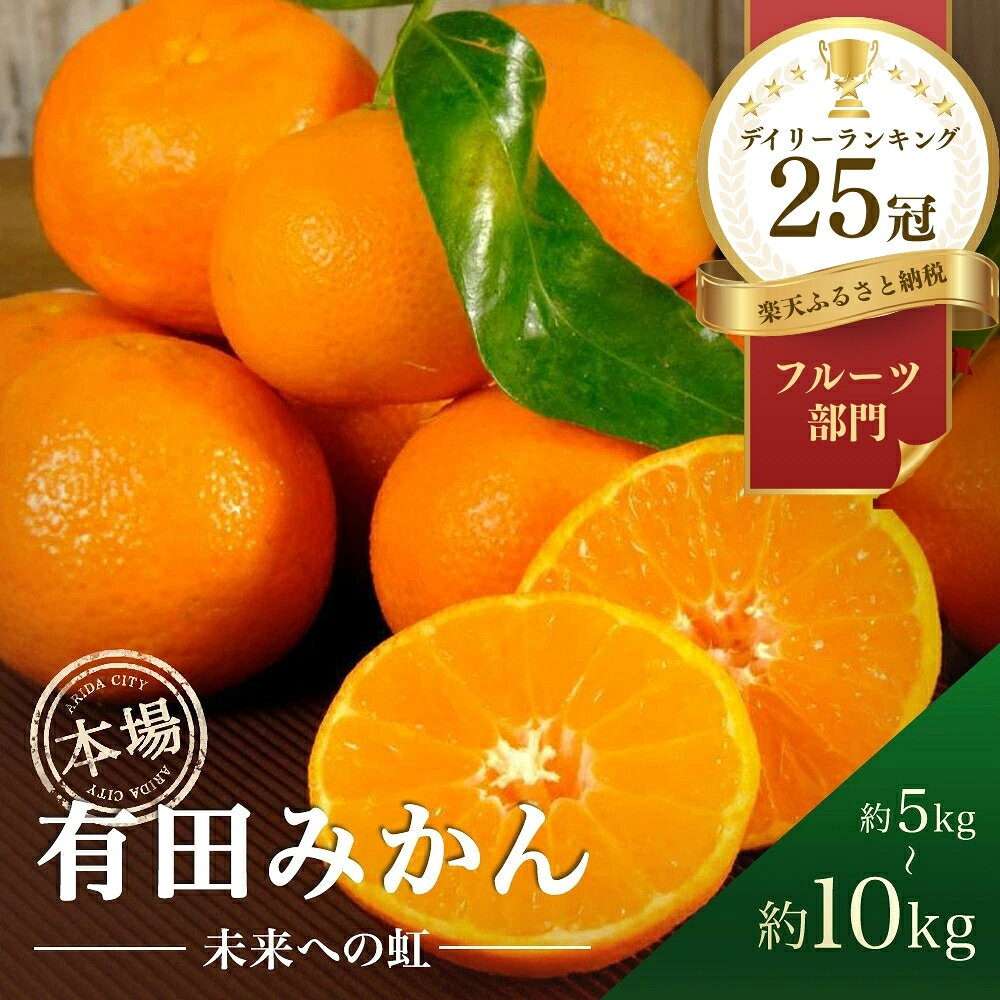 有田みかん「未来への虹」10kg 送料無料 産地直送