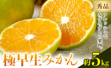 みかん 極早生みかん 秀品 内容量 5kg 日本フルーツ株式会社《2025年9月上旬-10月末頃出荷》熊本県 荒尾市 早生みかん 果物 フルーツ スイーツ デザート ギフト ご贈答