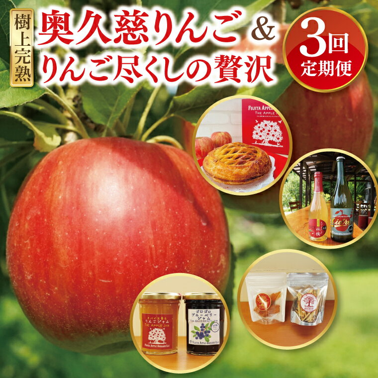 【ふるさと納税】【藤田観光りんご園】樹上完熟の奥久慈りんごとりんご尽くしの贅沢3回定期便【10月より発送開始】【お菓子・お酒・自家製の加工品】【旬の贈り物】｜茨城県 大子町 林檎 果物 フルーツ 旬 季節限定 数量限定 アップルパイ シードル スパークリング (BJ004)