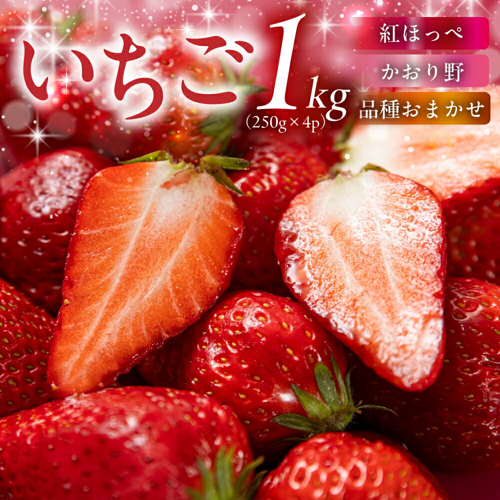 【ふるさと納税】【先行予約】《2027年1月～発送》令和9年産 品種おまかせ いちご 紅ほっぺ かおり野 1kg (250g × 4p) サイズ 不揃い 農園直送 生食 ケーキ [mt2205]｜フルーツ 果物 苺 イチゴ 子ども 小分け 簡易梱包 家庭用 産地直送 岐阜県 本巣市 15000円
