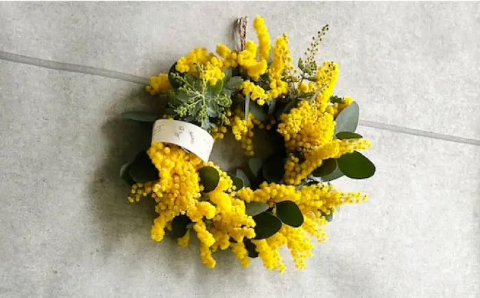雑貨 ミモザとユーカリのリース / ミモザ ユーカリ リース ドライフラワー 花飾り インテリア雑貨 ドア飾り 大阪府 / 大阪府藤井寺市/JamFlowerSalon [BLAW002]