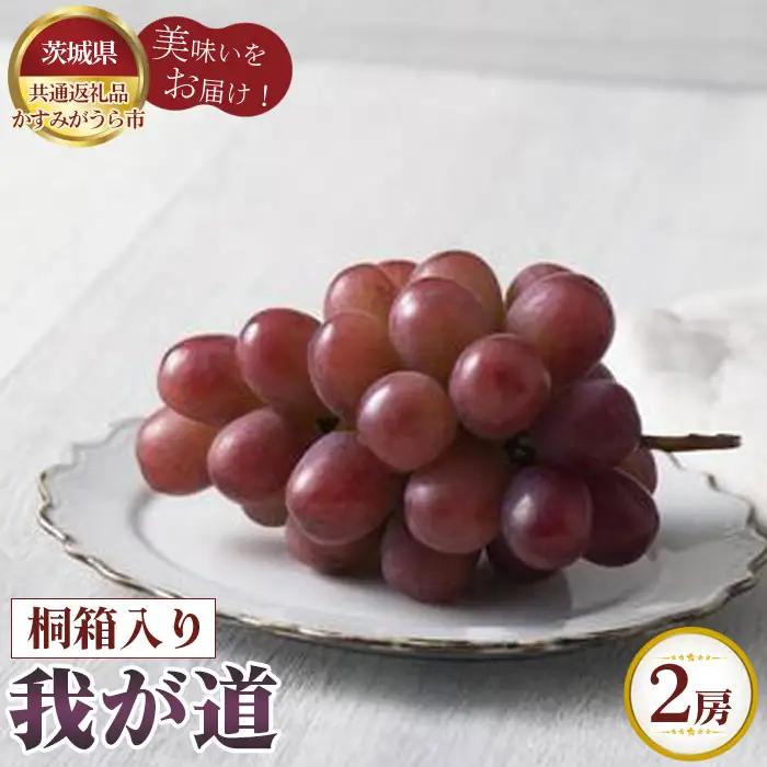 【先行予約】我が道　桐箱入り2房【茨城県共通返礼品 かすみがうら市】 No.317