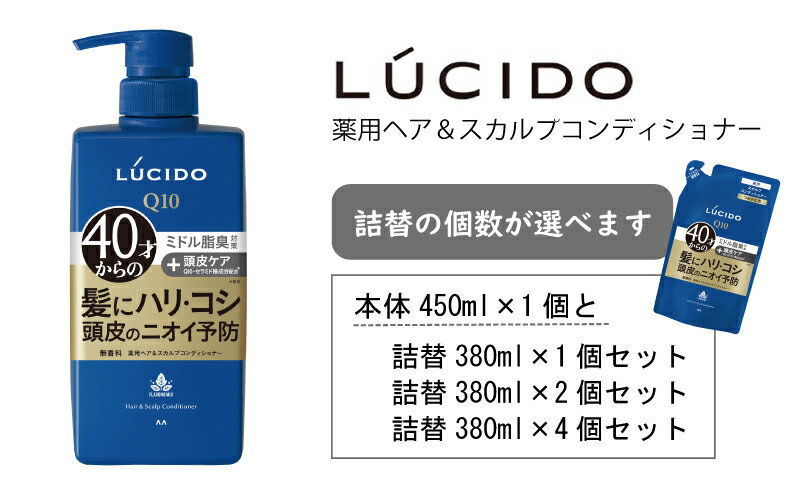 【ふるさと納税】 マンダム ルシード 薬用 ヘア ＆ スカルプ コンディショナー MA-20 MA-21 [ LUCIDO 頭皮ケア 臭いケア 男性化粧品 おしゃれ 日用品 ]　美容・薬用ヘア・スカルプコンディショナー・コンディショナー・ニオイケア・詰め替え用