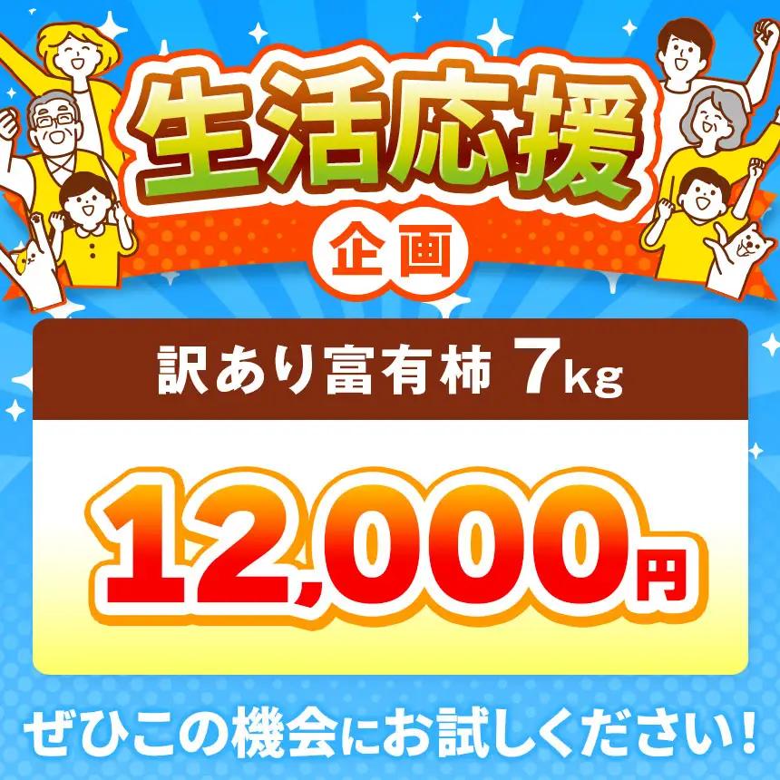 【 先行予約 】 ★ 4.8 獲得 訳あり 富有柿 約 7kg ご自宅用 （ 約22個 ～ 30個 入り）| 西岡農園