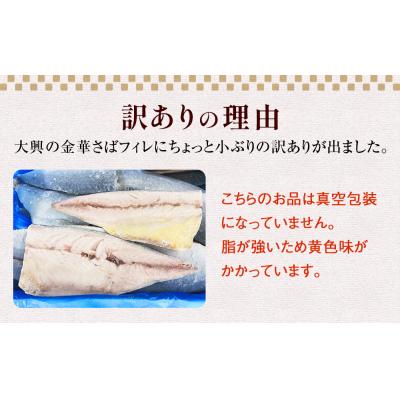 ふるさと納税 石巻市 訳あり　2L金華さばフィレ 10枚 冷凍 鯖 サバフィレ 骨取り 焼き魚 煮物 切り身 |  | 03