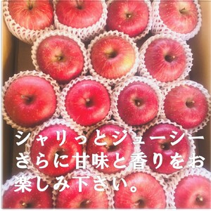 秋田県産 りんご ふじ 10kg 最高の甘味と香り 産地直送 【BARUバイオジャパン吉村(株)】[H9-9901]