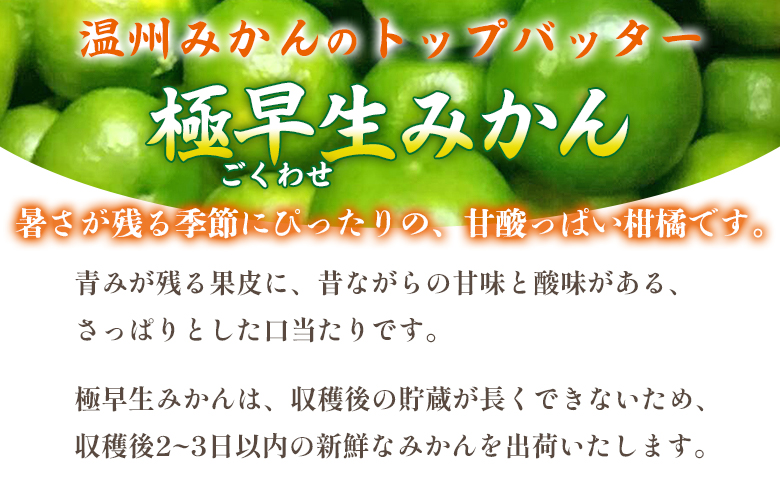 先行予約＜愛媛県産 極早生みかん 約5kg ご家庭用＞ 温州みかん 家庭用 訳あり 果物 ミカン 柑橘 フルーツ 選べる 食べて応援 特産品 段畑みかん 愛媛県 西予市【常温】『2026年9月中旬～1