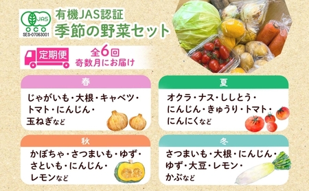 【全6回 奇数月にお届け！】定期便 季節の野菜 詰め合わせ ノウフク 冷蔵便 就労支援 セット 詰合せ 農福 農福JAS 無農薬 有機JAS 有機栽培 オーガニック 野菜 新鮮 料理 旬 季節 無農薬