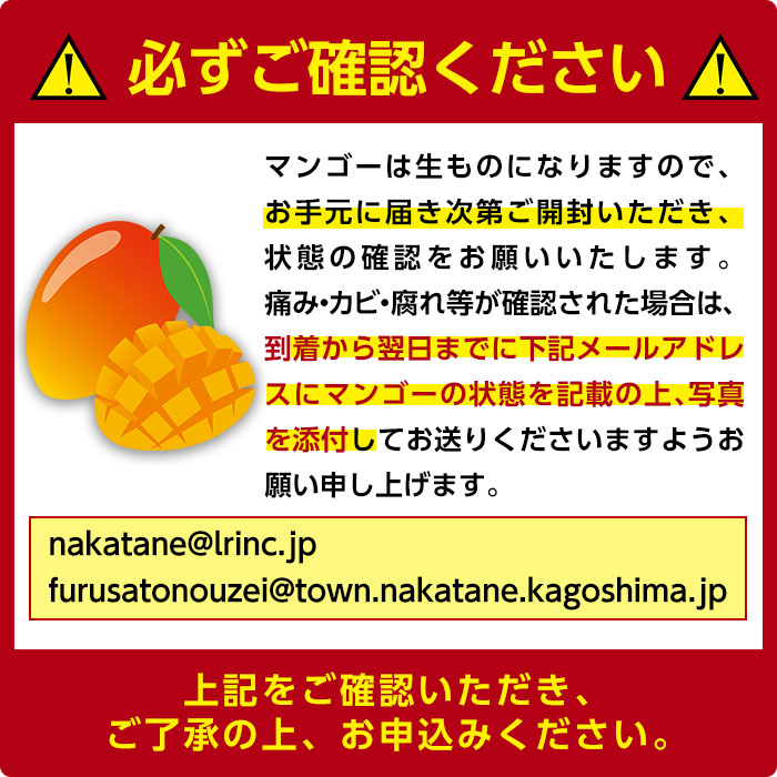 n257 【期間限定】＜先行予約受付中！2024年7月中旬～8月中旬の間に順次発送予定＞鹿児島県種子島産完熟マンゴー(1kg・2～3個入)【種子屋久農業協同組合】