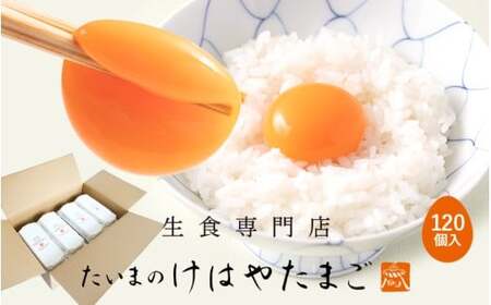 たいまのけはやたまご　120個入り　／たまご　生卵　奈良県　葛城市【tegg005】
