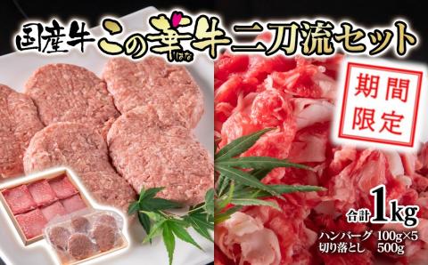 必見！期間限定価格！国産牛切り落とし500ｇ＆牛100％ハンバーグ100ｇ×5個　二刀流セット　この華牛　合計1ｋｇ＜1.1-27＞