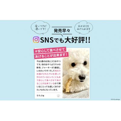 ふるさと納税 気仙沼市 UMINO PET サメ肉と軟骨のパウダー 計200g(40g×5) 20563973 |  | 03