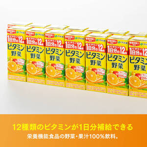 伊藤園 ビタミン野菜（紙パック）200ml×48本【3ヶ月定期便】 【伊藤園 飲料類 野菜ジュース ミックスジュース 健康 飲みもの】