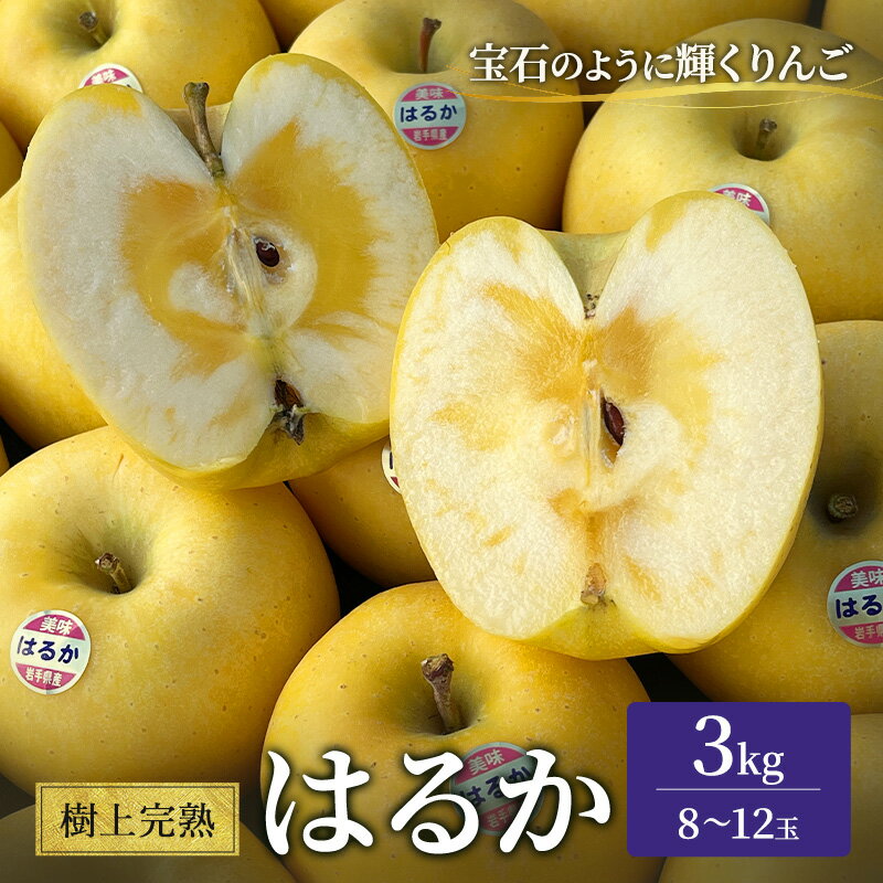 【ふるさと納税】樹上完熟はるか 約3kg 林檎 リンゴ 果物 フルーツ おやつ デザート 旬の果物 旬のフルーツ 季節の果物 季節のフルーツ 岩手りんご 岩手県 盛岡市