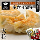 【ふるさと納税】北海道の食材たっぷり！手作り餃子10袋セット＜スリーエス＞ 知内町 ふるさと納税