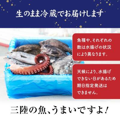 ふるさと納税 陸前高田市 【厳選】三陸海の恵み詰め合わせ【下処理済】(4〜5人用) |  | 02