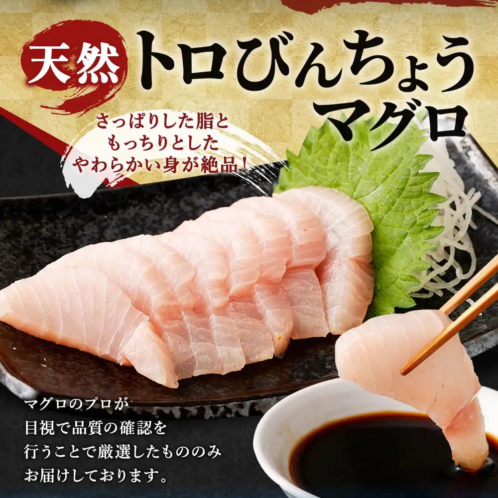 ge014　船元直送！約500gビンチョウマグロ・天然マグロ
