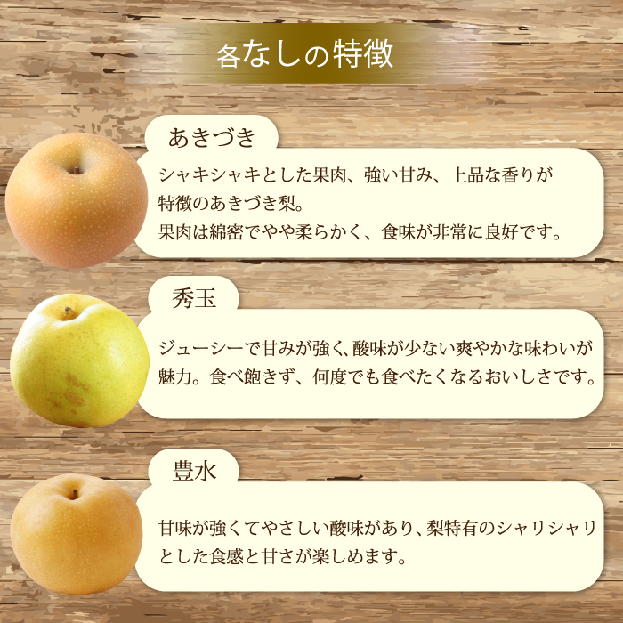 【先行受付】ぶどう2房と梨2個詰め合わせ 2025年9月下旬発送予定 果物 くだもの フルーツ ブドウ なし 葡萄 202008