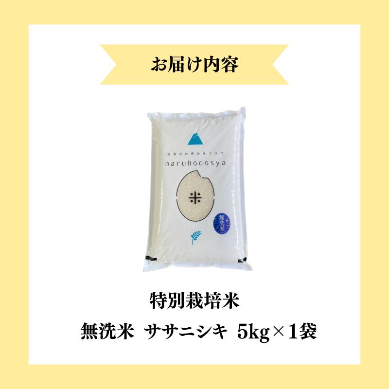 【令和7年産新米】栽培期間中 農薬・化学肥料不使用 【無洗米】特別栽培米ササニシキ5kg×1