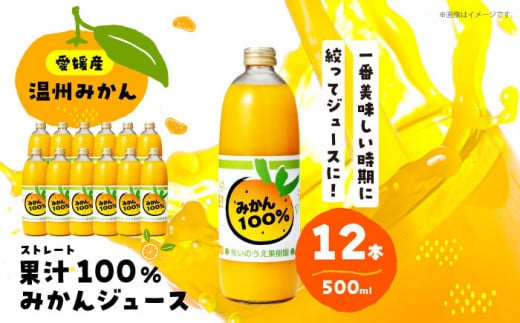 みかんが1番美味しい時期にジュースにしました！果汁100％うんしゅうみかんジュース500ml×12本(ストレートジュース) 愛媛県大洲市/有限会社いのうえ果樹園 [AGBV008] 先行予約 みかん ミカン 果物 くだもの フルーツ 大洲市産 産地直送 おすすめ 人気 お取り寄せ 送料無料 贈答 ギフト