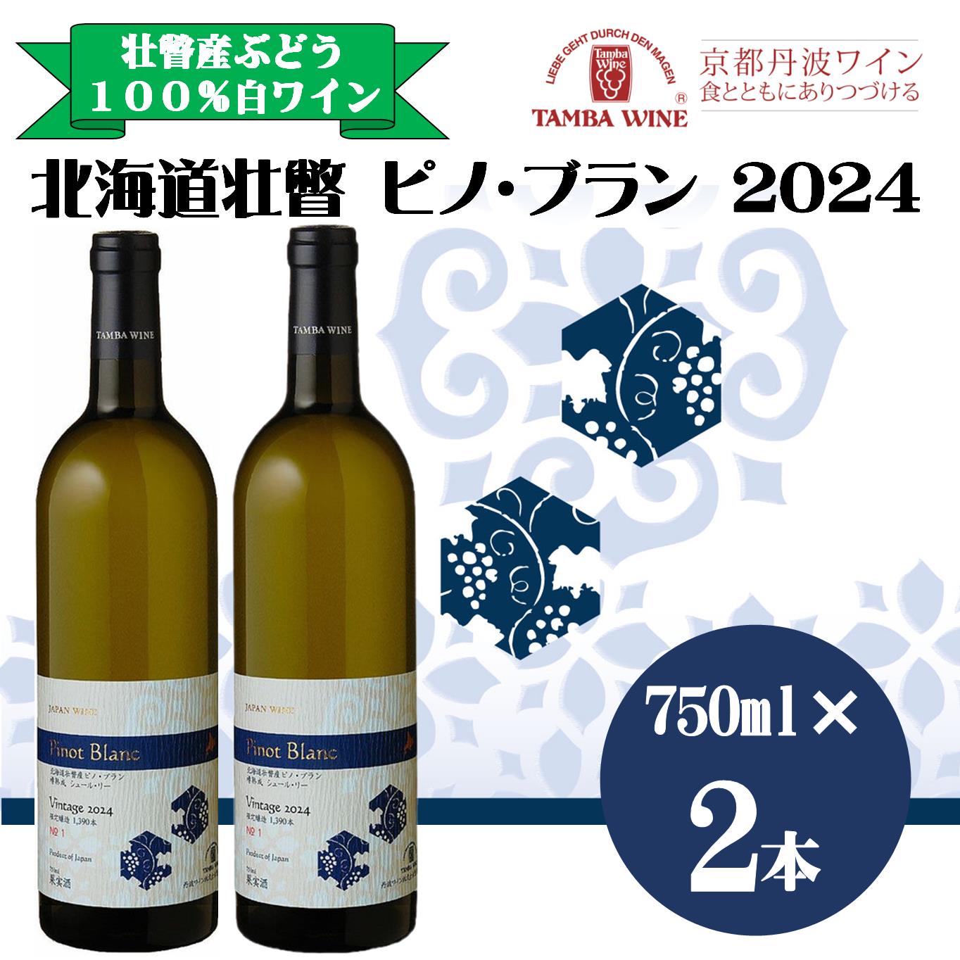 【ふるさと納税】北海道壮瞥産 ピノ・ブラン2024(辛口白ワイン) 750ml×2本 【 ふるさと納税 人気 おすすめ ランキング 北海道 壮瞥 ワイン ピノ・ブラン ぶどう 葡萄 酒 白 辛口 贈り物 贈物 贈答 ギフト 詰合せ セット 北海道 壮瞥町 送料無料 】 SBTA085