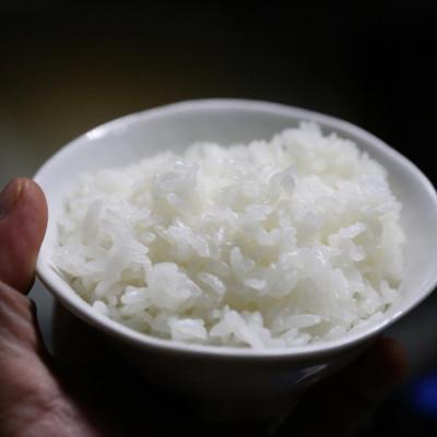 ふるさと納税 南陽市 【令和7年産】山形県産雪若丸　精米5kg 【S1679】 |  | 03