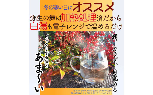 【12ヶ月定期便】奇跡の飲む温泉水「真木温泉 弥生の舞」　飲泉力1000ml 20本入り